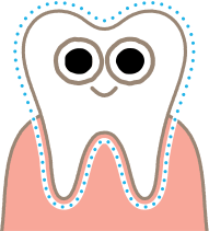 歯質が柔らかく虫歯が進行しやすい イラスト